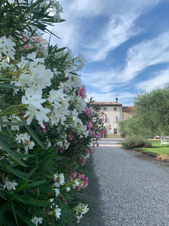 Agriturismo Casa Aurora 부솔렌고 외부 사진