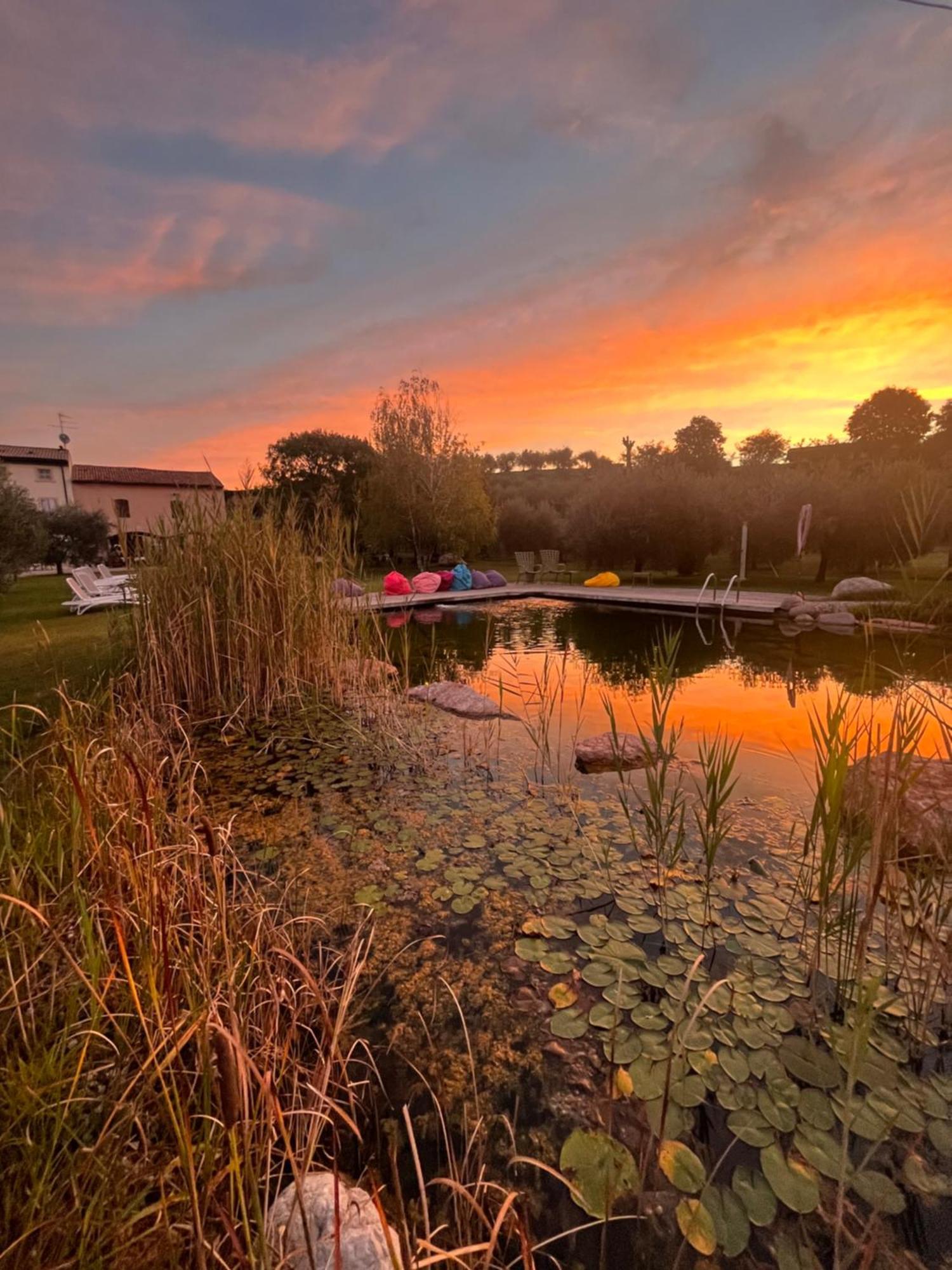 Agriturismo Casa Aurora 부솔렌고 외부 사진