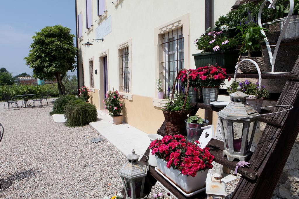 Agriturismo Casa Aurora 부솔렌고 외부 사진