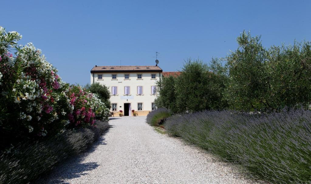 Agriturismo Casa Aurora 부솔렌고 외부 사진