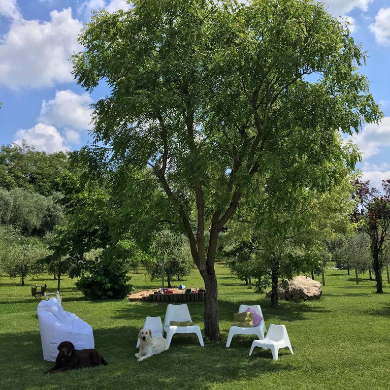 Agriturismo Casa Aurora 부솔렌고 외부 사진