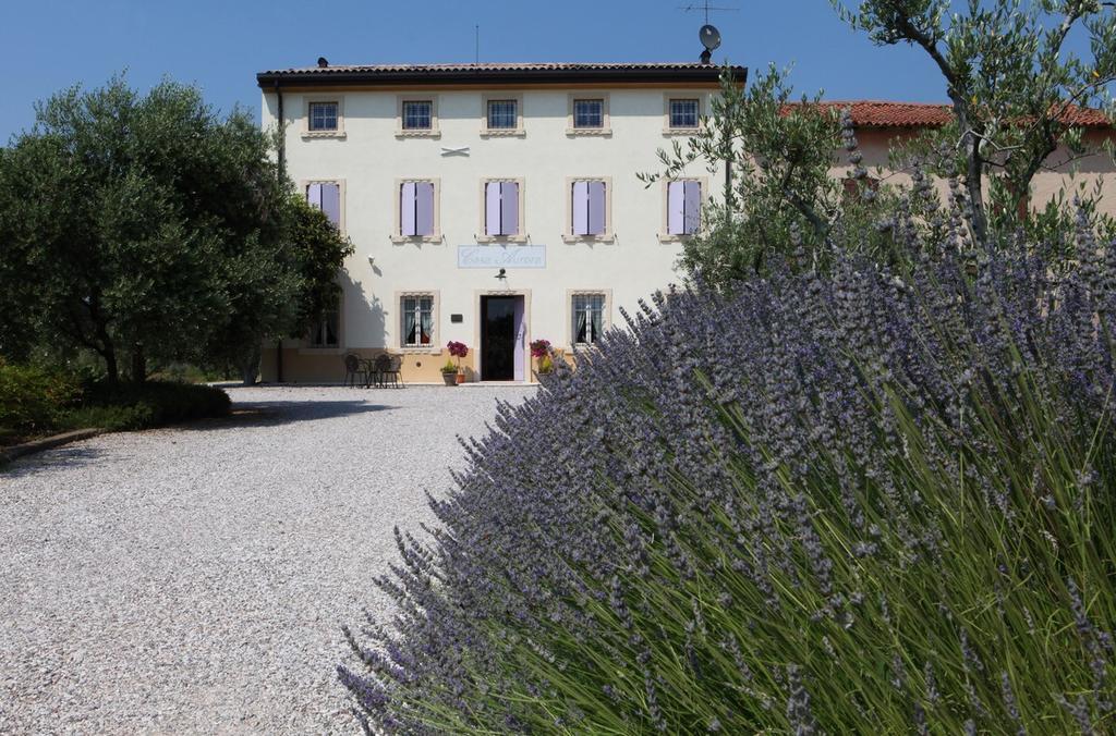 Agriturismo Casa Aurora 부솔렌고 외부 사진