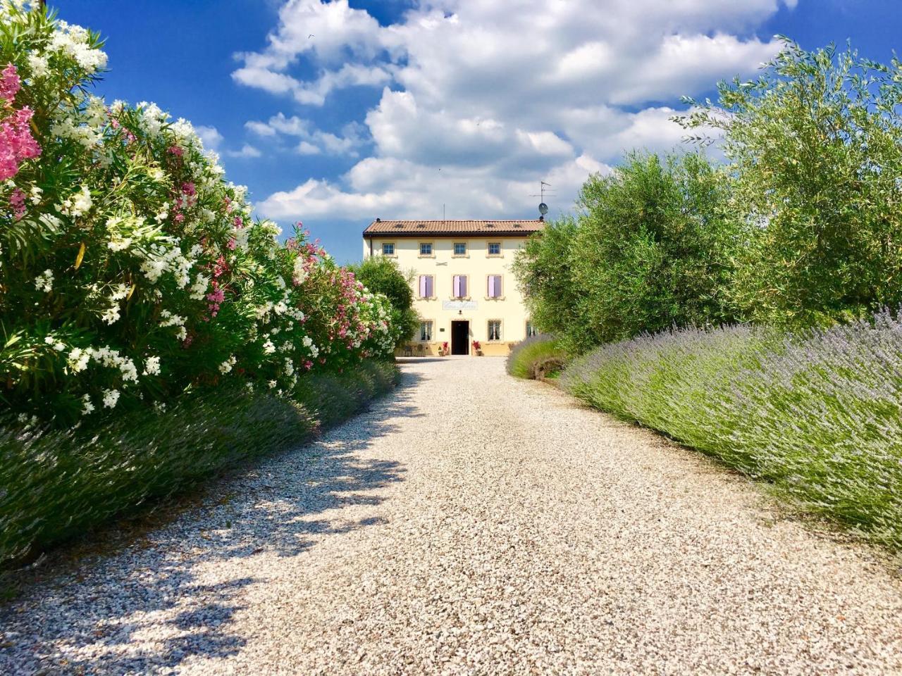 Agriturismo Casa Aurora 부솔렌고 외부 사진